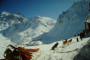 Mit Schlittenhunden im Himalaya Massiv