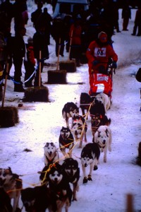 PICT0207    